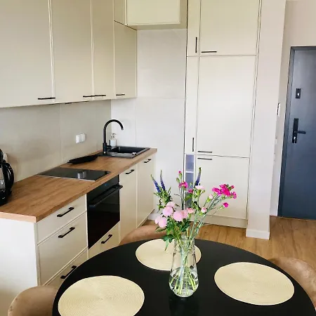 Apartamenty S&S Chlebova Gdansk Z Widokiem Na Rzeke Motlawe, Stare Miasto Exterior photo